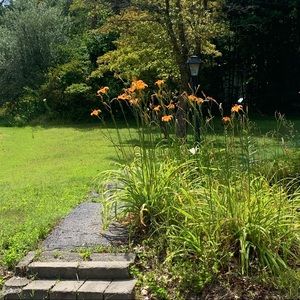 Meet your Posher, Aurora